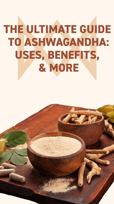 The Essential Guide to Ashwagandha: Uses, Benefits & More