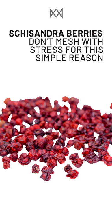 Schisandra Berries Don’t Mesh with Stress For This Simple Reason